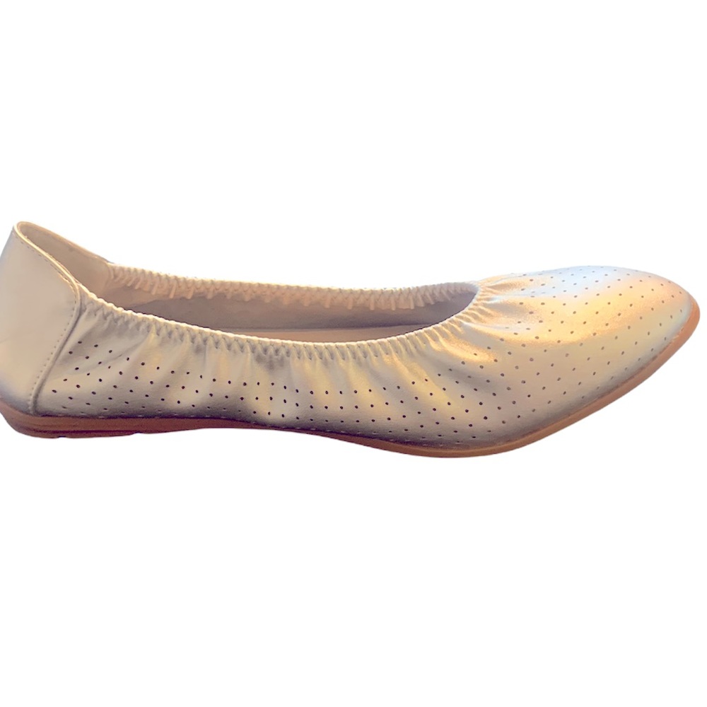 Wanted Silver flats